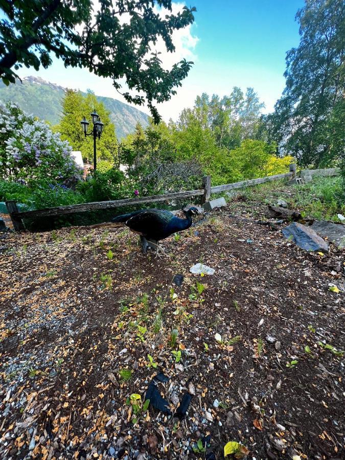 Indian Ak 25 Min To Anchorage & 25 Min To Girdwood Villa Exterior foto